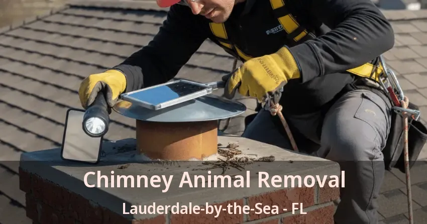 Chimney Animal Removal Lauderdale-by-the-Sea - FL