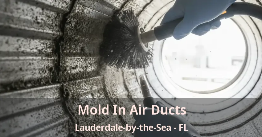 Mold In Air Ducts Lauderdale-by-the-Sea - FL