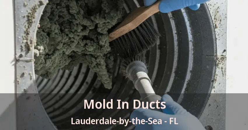 Mold In Ducts Lauderdale-by-the-Sea - FL